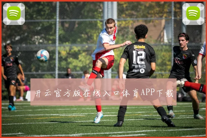 开云官方版在线入口体育APP下载