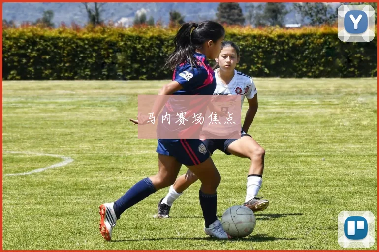 马内赛场焦点