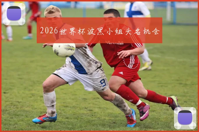 2026世界杯波黑小组头名机会