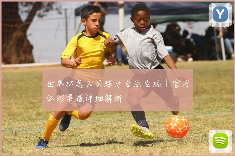 世界杯怎么买球才合法合规｜官方体彩渠道详细解析
