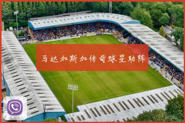 马达加斯加传奇球星助阵