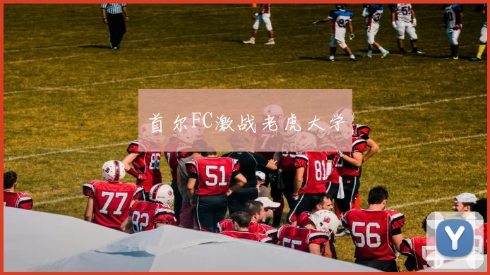 首尔FC激战老虎大学