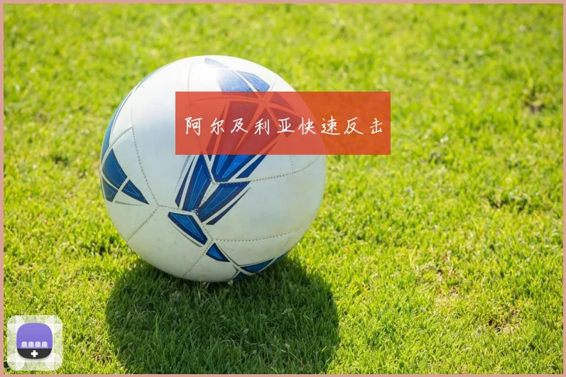阿尔及利亚快速反击
