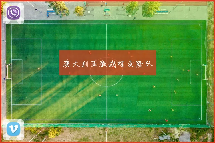 澳大利亚激战喀麦隆队