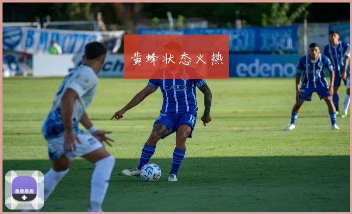 黄蜂状态火热