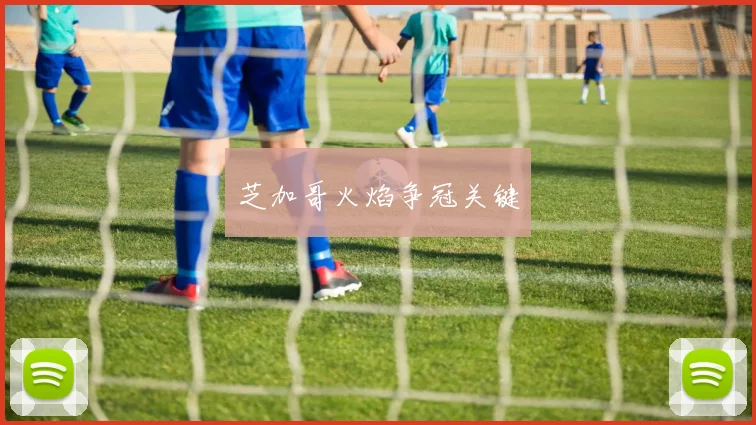 芝加哥火焰争冠关键