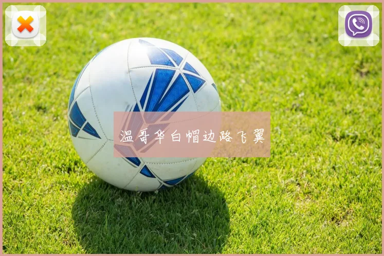 温哥华白帽边路飞翼