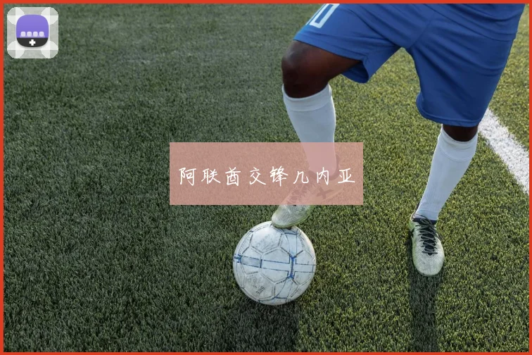 阿联酋交锋几内亚