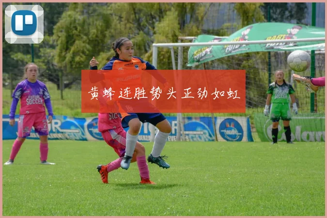 黄蜂连胜势头正劲如虹