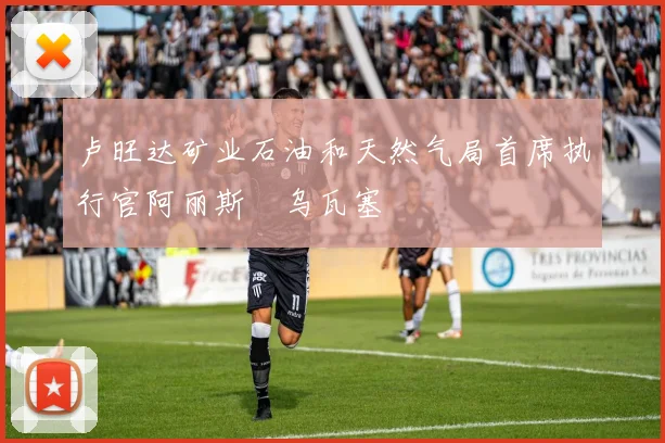 卢旺达矿业石油和天然气局首席执行官阿丽斯・乌瓦塞
