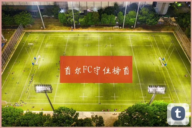 首尔FC守住榜首