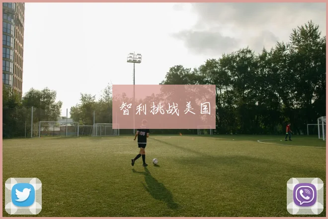 智利挑战美国