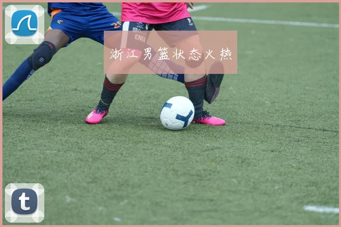 浙江男篮状态火热