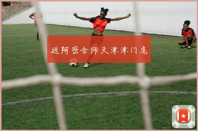 迈阿密会师天津津门虎