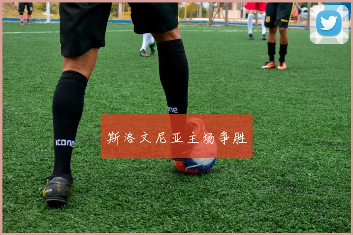 斯洛文尼亚主场争胜