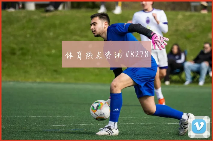 2026世界杯日本vs荷兰阵容变化
