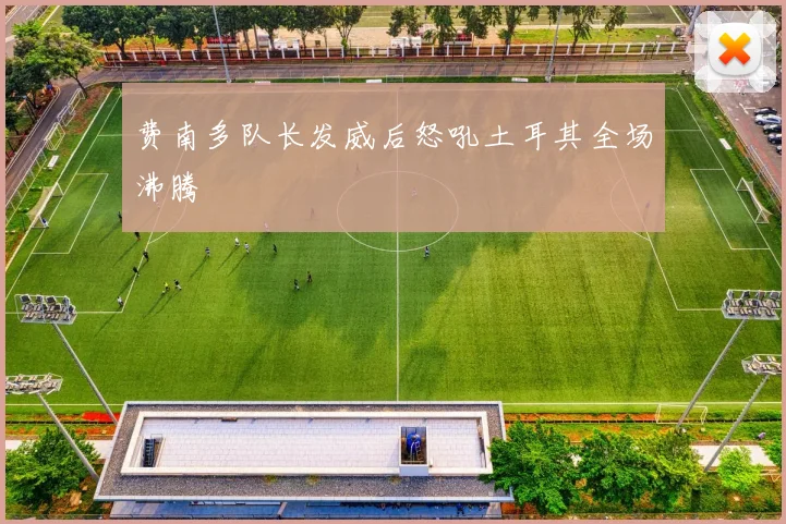 费南多队长发威后怒吼土耳其全场沸腾