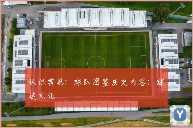 认识雷恩：球队图鉴历史内容：球迷文化