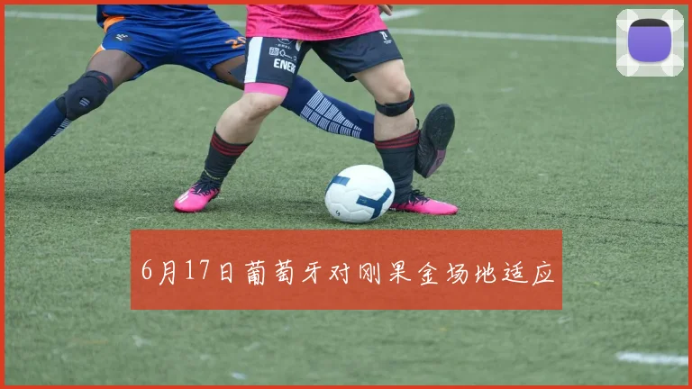 6月17日葡萄牙对刚果金场地适应