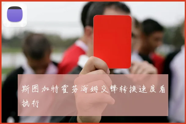斯图加特霍芬海姆交锋转换速度看执行